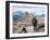 Hiker Walking at the Top of Mount Kinabalu in Sabah, Malaysia-R.M. Nunes-Framed Photographic Print