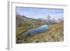 Hikers Admire the Matterhorn Reflected in Lake Stellisee, Swiss Alps-Roberto Moiola-Framed Photographic Print