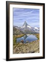 Hikers Admire the Matterhorn Reflected in Lake Stellisee, Swiss Alps-Roberto Moiola-Framed Photographic Print