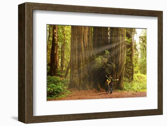 Hikers Admiring Redwood Trees, Redwood National Park, California-YayaErnst-Framed Photographic Print