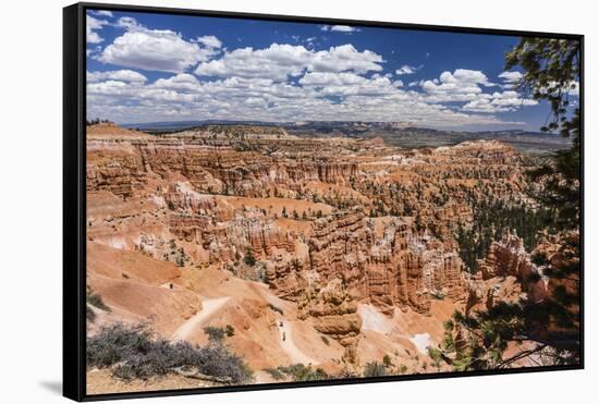 Hikers amongst hoodoo formations on the Sunrise Point Trail in Bryce Canyon National Park, Utah, Un-Michael Nolan-Framed Stretched Canvas
