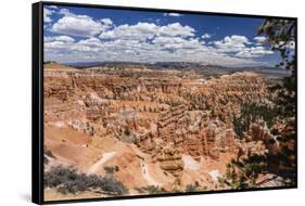 Hikers amongst hoodoo formations on the Sunrise Point Trail in Bryce Canyon National Park, Utah, Un-Michael Nolan-Framed Stretched Canvas