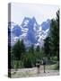 Hikers at Haut Asco, Corsica, France, Europe-Yadid Levy-Stretched Canvas