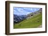 Hikers at Kleine Scheidegg, Grindelwald, Bernese Oberland, Switzerland, Europe-Hans-Peter Merten-Framed Photographic Print