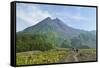 Hikers at Mount Merapi, Java, Indonesia, Southeast Asia, Asia-Jochen Schlenker-Framed Stretched Canvas