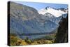 Hikers Cross a Footbridge, Rob Roy Glacier Trail, New Zealand-James White-Stretched Canvas