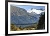 Hikers Cross a Footbridge, Rob Roy Glacier Trail, New Zealand-James White-Framed Photographic Print