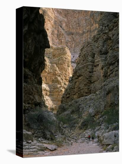 Hikers & Dog in Pigeon Canyon, Grand Canyon-Parashant National Monument, Arizona, USA-Scott T. Smith-Stretched Canvas