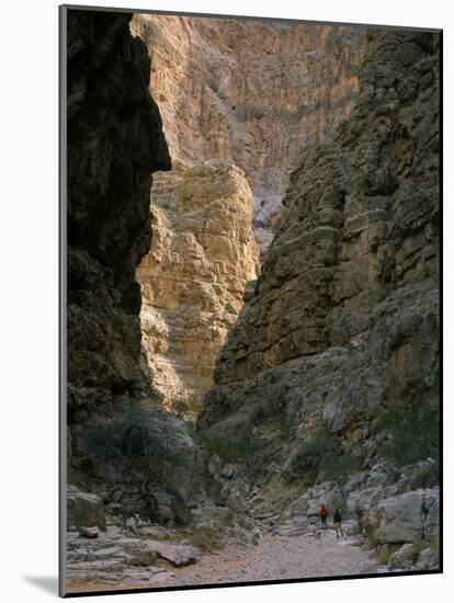 Hikers & Dog in Pigeon Canyon, Grand Canyon-Parashant National Monument, Arizona, USA-Scott T. Smith-Mounted Photographic Print