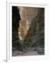 Hikers & Dog in Pigeon Canyon, Grand Canyon-Parashant National Monument, Arizona, USA-Scott T. Smith-Framed Photographic Print