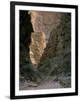 Hikers & Dog in Pigeon Canyon, Grand Canyon-Parashant National Monument, Arizona, USA-Scott T. Smith-Framed Photographic Print