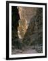 Hikers & Dog in Pigeon Canyon, Grand Canyon-Parashant National Monument, Arizona, USA-Scott T. Smith-Framed Photographic Print