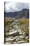 Hikers in the Ogwen Valley (Dyffryn Ogwen)-Charlie Harding-Stretched Canvas