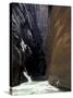 Hikers in Zion Narrows, Zion National Park, UT, USA-Lin Alder-Stretched Canvas