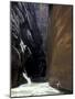 Hikers in Zion Narrows, Zion National Park, UT, USA-Lin Alder-Mounted Photographic Print