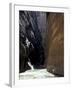 Hikers in Zion Narrows, Zion National Park, UT, USA-Lin Alder-Framed Photographic Print