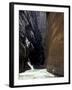 Hikers in Zion Narrows, Zion National Park, UT, USA-Lin Alder-Framed Photographic Print