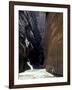 Hikers in Zion Narrows, Zion National Park, UT, USA-Lin Alder-Framed Photographic Print