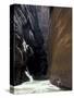 Hikers in Zion Narrows, Zion National Park, UT, USA-Lin Alder-Stretched Canvas