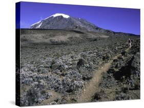 Hikers Moving Through a Rocky Area, Kilimanjaro-Michael Brown-Stretched Canvas