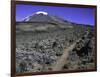 Hikers Moving Through a Rocky Area, Kilimanjaro-Michael Brown-Framed Premium Photographic Print