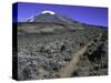 Hikers Moving Through a Rocky Area, Kilimanjaro-Michael Brown-Stretched Canvas