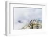 Hikers on Summit of Mount Rysy, 2499M, the Highest Point-Christian Kober-Framed Photographic Print