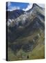 Hikers on the Rob Roy Glacier Hiking Track, New Zealand, Pacific-Christian Kober-Stretched Canvas