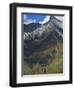 Hikers on the Rob Roy Glacier Hiking Track, New Zealand, Pacific-Christian Kober-Framed Photographic Print