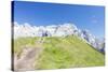 Hikers proceed on the path to the rocky peaks, Doss Del Sabion, Pinzolo, Brenta Dolomites, Trentino-Roberto Moiola-Stretched Canvas