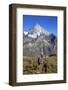 Hikers Proceed Towards the High Peak of Dent Herens in a Clear Summer Day, Switzerland-Roberto Moiola-Framed Photographic Print