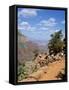 Hikers Return from Canyon Base, Grand Canyon, Unesco World Heritage Site, Arizona, USA-Tony Gervis-Framed Stretched Canvas