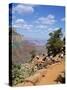 Hikers Return from Canyon Base, Grand Canyon, Unesco World Heritage Site, Arizona, USA-Tony Gervis-Stretched Canvas