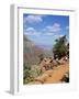 Hikers Return from Canyon Base, Grand Canyon, Unesco World Heritage Site, Arizona, USA-Tony Gervis-Framed Photographic Print