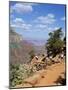 Hikers Return from Canyon Base, Grand Canyon, Unesco World Heritage Site, Arizona, USA-Tony Gervis-Mounted Photographic Print