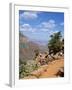 Hikers Return from Canyon Base, Grand Canyon, Unesco World Heritage Site, Arizona, USA-Tony Gervis-Framed Photographic Print