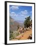 Hikers Return from Canyon Base, Grand Canyon, Unesco World Heritage Site, Arizona, USA-Tony Gervis-Framed Photographic Print