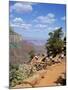 Hikers Return from Canyon Base, Grand Canyon, Unesco World Heritage Site, Arizona, USA-Tony Gervis-Mounted Photographic Print