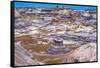 Hikers trail, Blue Mesa, Painted Desert, Petrified Forest National Park, Arizona-William Perry-Framed Stretched Canvas