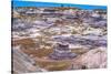Hikers trail, Blue Mesa, Painted Desert, Petrified Forest National Park, Arizona-William Perry-Stretched Canvas
