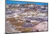 Hikers trail, Blue Mesa, Painted Desert, Petrified Forest National Park, Arizona-William Perry-Mounted Photographic Print