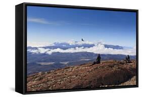 Hikers Watch a Condor (Vultur Gryphus)-Eleanor-Framed Stretched Canvas