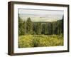 Hiking Area, Alpine Meadow Summer Flowers, Slovensky Raj, Paradise National Park, Slovakia-Christian Kober-Framed Photographic Print