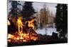 Hiking Boots Dry Out Next To A Campfire In The Wilderness-Hannah Dewey-Mounted Photographic Print