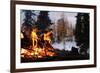 Hiking Boots Dry Out Next To A Campfire In The Wilderness-Hannah Dewey-Framed Photographic Print