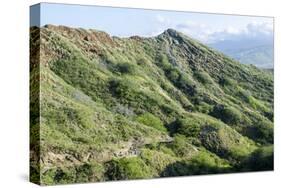 Hiking in Diamond Head State Monument (Leahi Crater)-Michael DeFreitas-Stretched Canvas