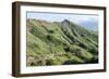 Hiking in Diamond Head State Monument (Leahi Crater)-Michael DeFreitas-Framed Photographic Print