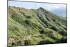 Hiking in Diamond Head State Monument (Leahi Crater)-Michael DeFreitas-Mounted Photographic Print