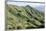 Hiking in Diamond Head State Monument (Leahi Crater)-Michael DeFreitas-Framed Photographic Print