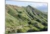 Hiking in Diamond Head State Monument (Leahi Crater)-Michael DeFreitas-Mounted Photographic Print